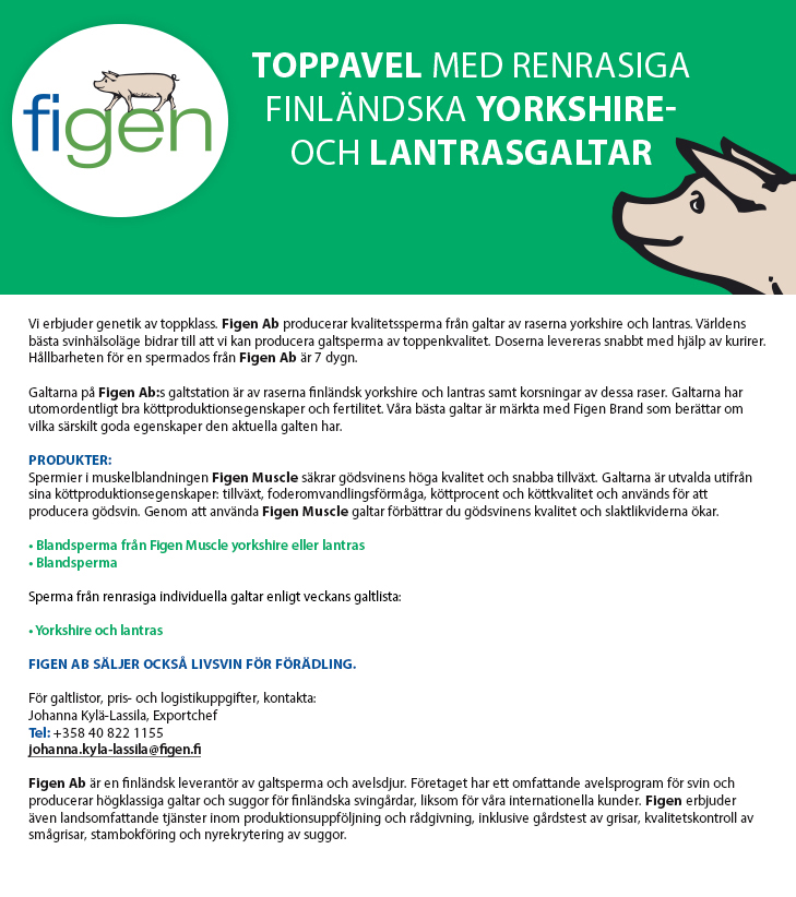 Figen